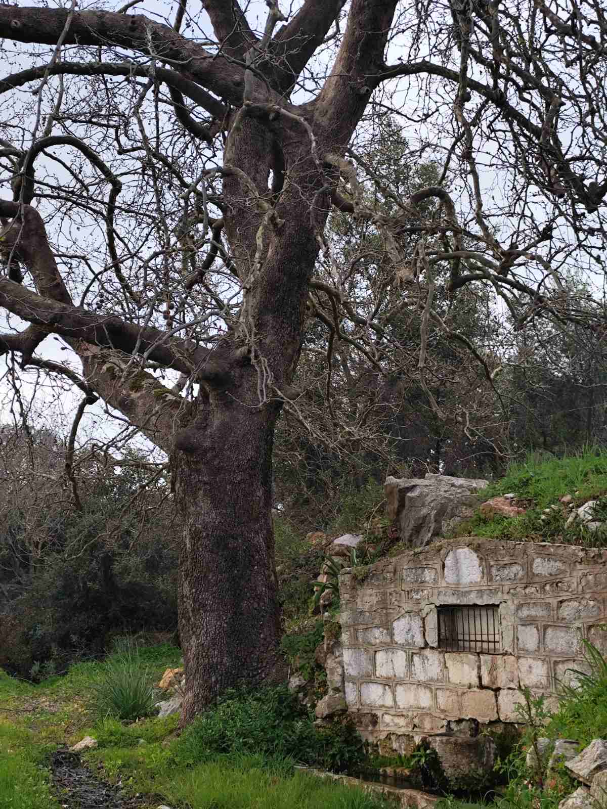 Βρύση Κεραμίδιζας πριν την Ανακατασκευή