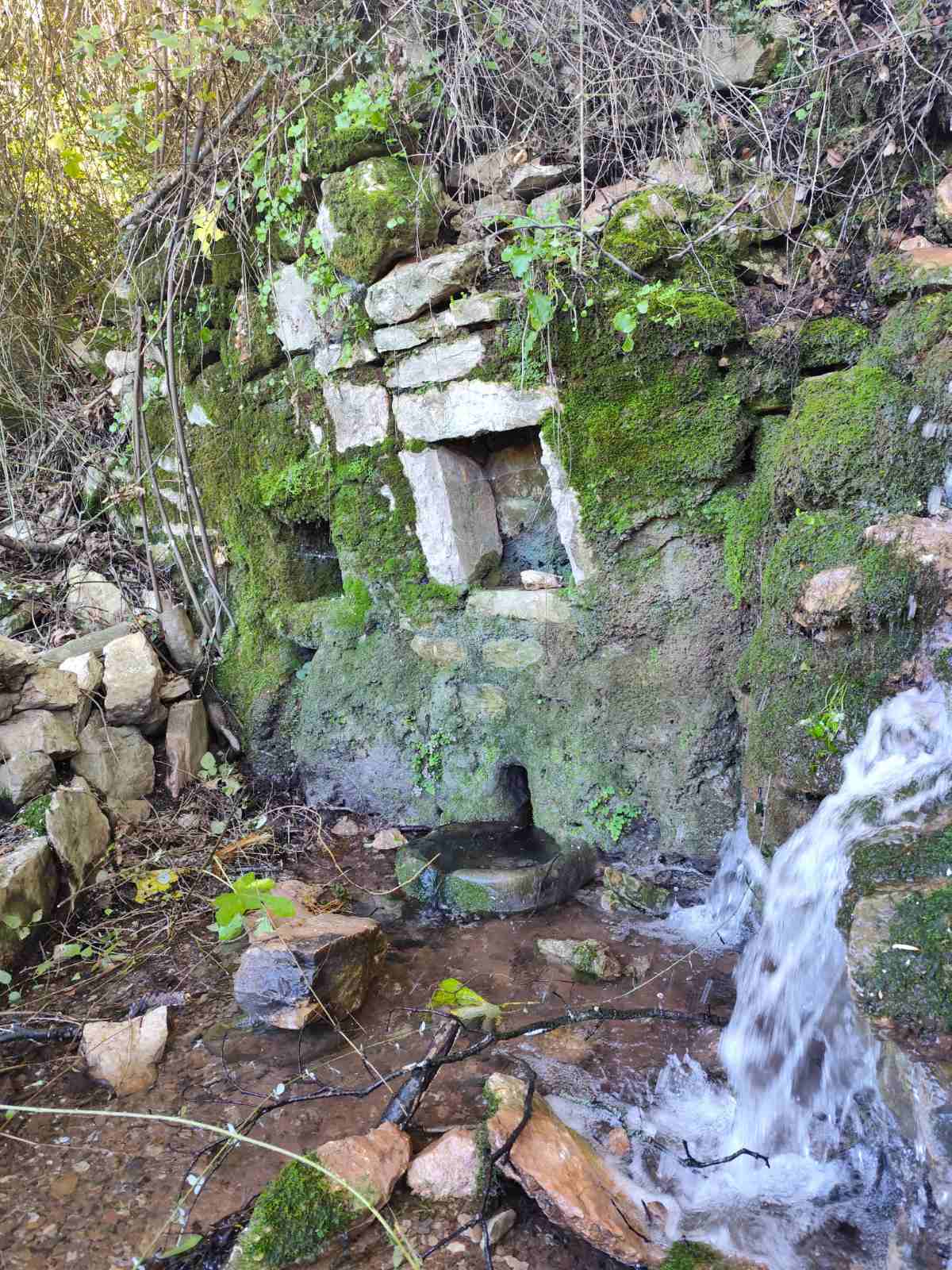 Η Βρύση του Μπορσιά
