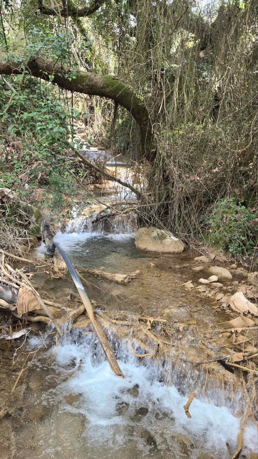 Κρολιάτα