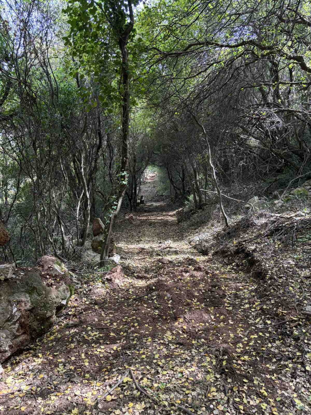 Περάμα