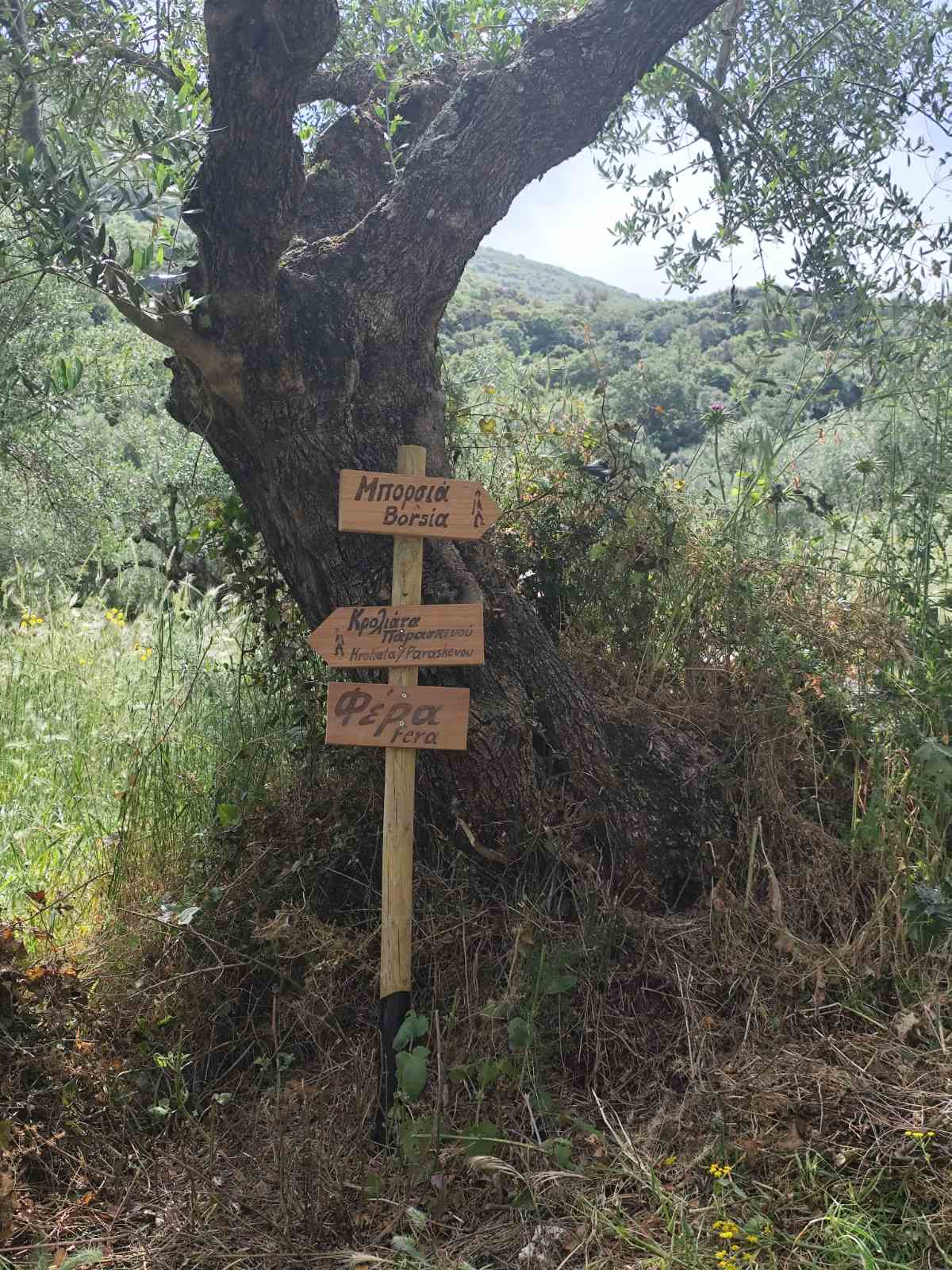 Φέρα